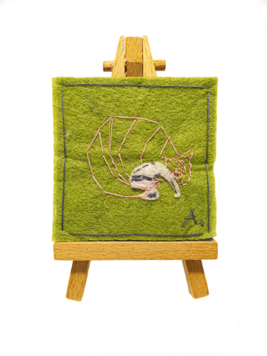 A te, che sei un armadillo