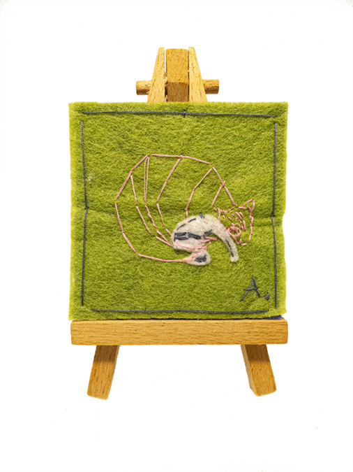 A te, che sei un armadillo