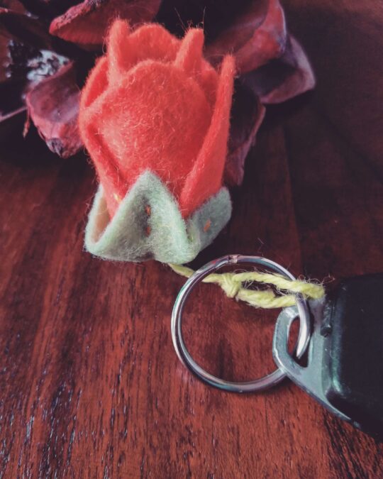 Tulipano, risorge