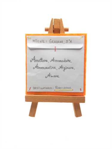 Gerbera 5A
