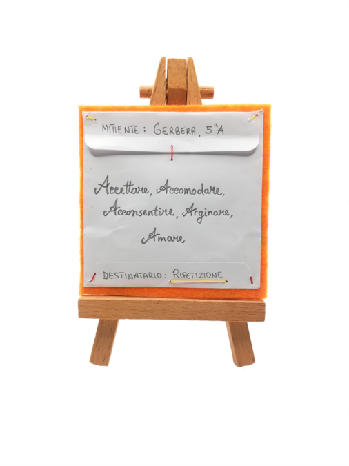 Gerbera 5A
